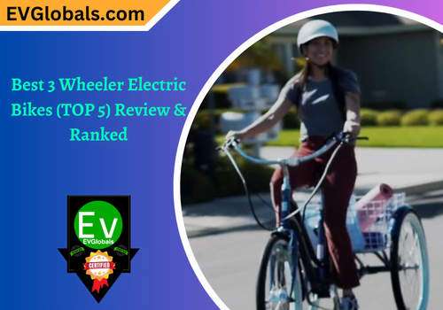 Best 3 Wheeler Electric Bike