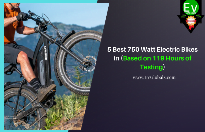 Best 750 Watt Electric Bikes