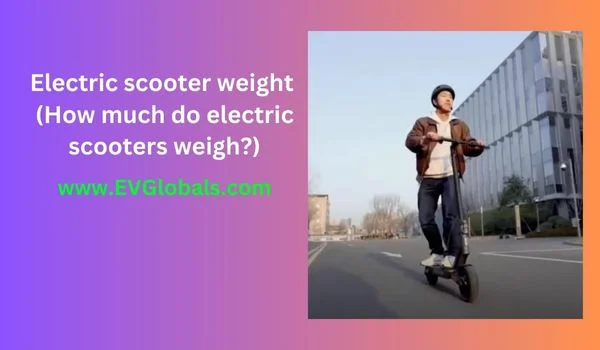 Electric scooter weight