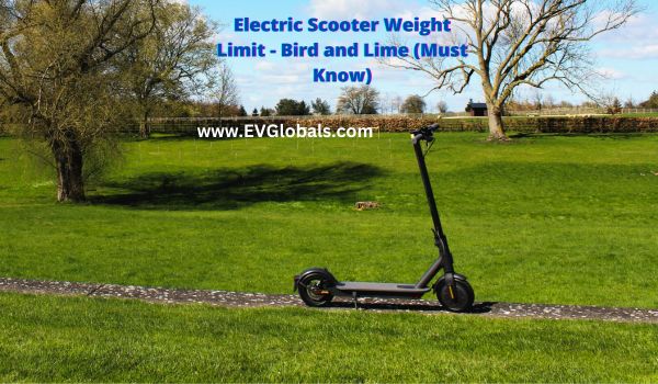 Electric Scooter Weight